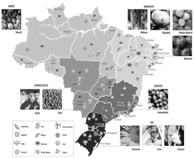 http://2.bp.blogspot.com/_TxgbD-pxgXw/TBqwcSFoUvI/AAAAAAAAAQ8/nNSP0py18wg/s1600/Mapa+Biodiesel+no+Brasil+-+fonte+Ecoflextrading.jpg